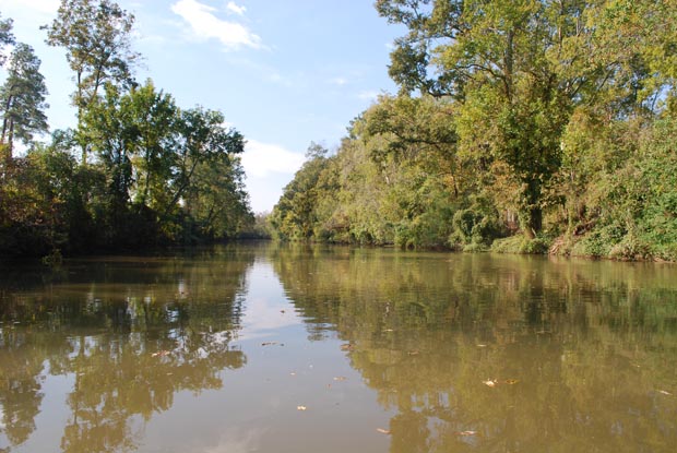 bayou teche